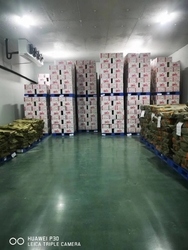 Tianjin LP Pet Food Ingredients Co.,Ltd