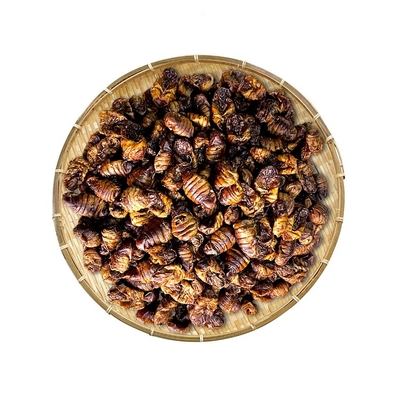 Dried Silkworm pupae/pet food/animal feed