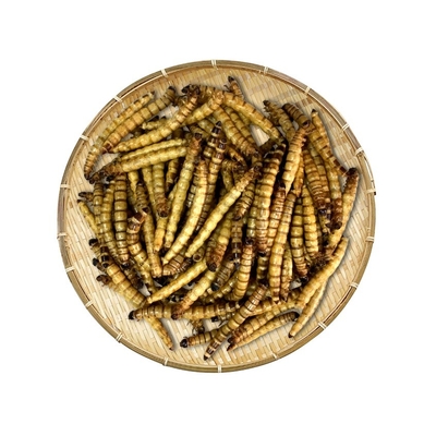 Dried Superworm/animal food/pet food ingredients