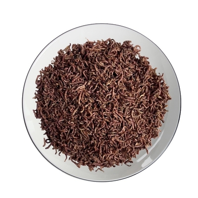 Freeze-dried Bloodworm/Freeze drying animal food/pet food