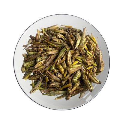 Freeze-dried Grasshopper/poultry food/pet feed