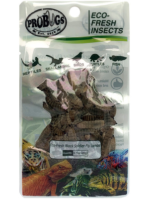 Eco-fresh Black Soldier Fly Larvae/Pet food/Animal feed