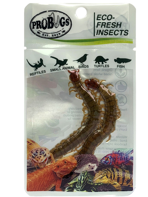 Eco-fresh Centipede/fish/Aquarium