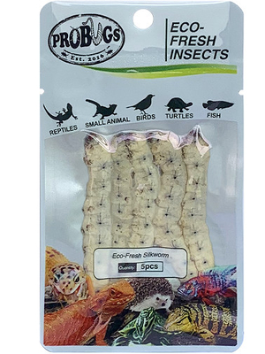 Eco-fresh Silkworm/pet feed