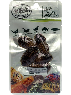 Eco-fresh Dubia Cockroach/dry insects/feed grade