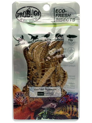 Eco-fresh Superworm/protein for pet food
