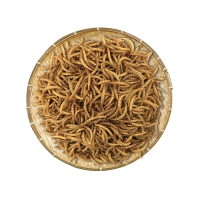 Dried Mealworm/Rich in vitamins A and B/pet food/animal feed/Poultry feed