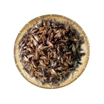 Dried Cricket/nutrition food for pet/protein & low fat/poultry food