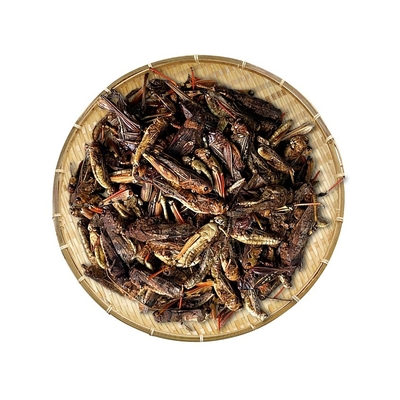 Dried Grasshopper/bird food/animal feed