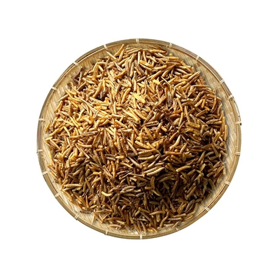 Dried Riceworm/fish food/animal feed/Aquarium