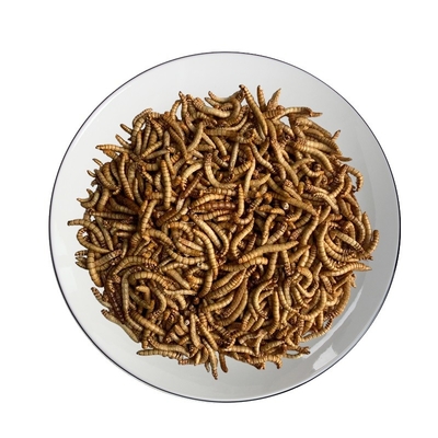 Freeze-dried Mealworm/pet food/insect protein/poultry